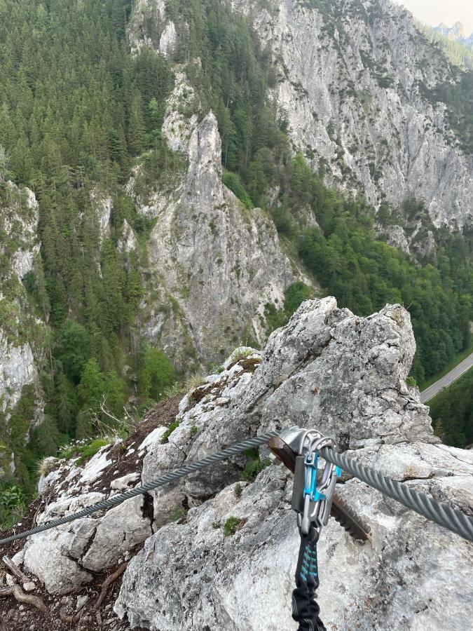 Berghaus Gesaeuse Pension Weng im Gesause Dış mekan fotoğraf